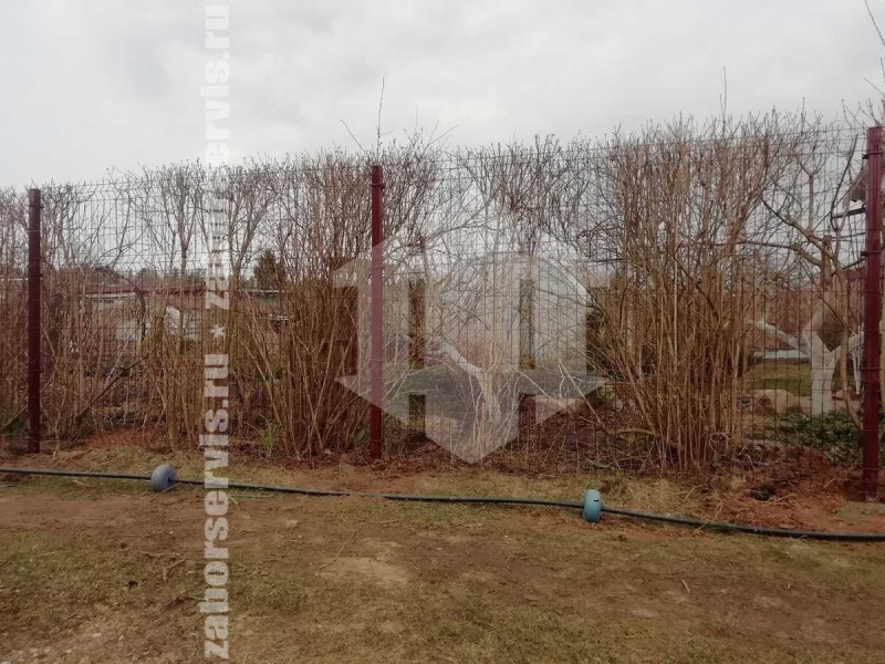 3D заборы для частного дома 80 метров 3,5мм